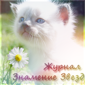 Журнал "Коты-Воители Знамение Звезд": выпуск №10