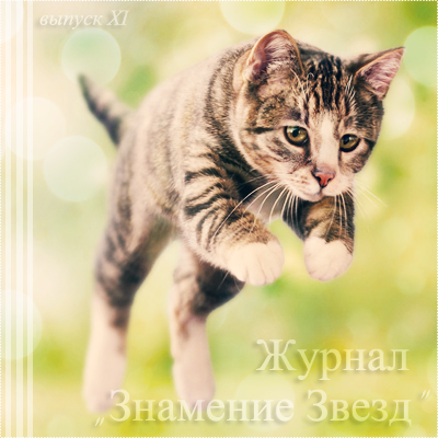 Журнал "Коты-Воители Знамение Звезд": выпуск №11