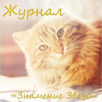 Журнал "Коты-Воители Знамение Звезд": выпуск №9