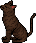 http://wildwarriors.narod.ru/wallpapers/pixel/thunderclan/warrior/dustpelt.png