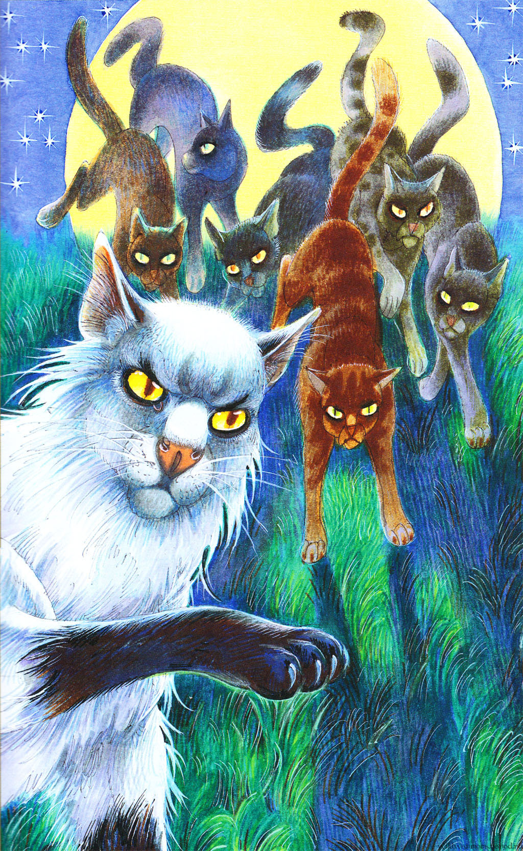 Коты персонажи книг. Коты Воители племя теней Насыров. Коты Воители Чернозвезд. Коты Воители Чернозвёзд. Коты Воители племя теней Чернозвёзд.